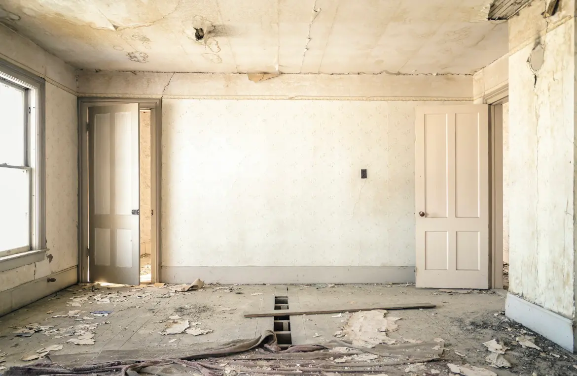 Waste disposal crew managing a cleanout project in Lake Goodwin